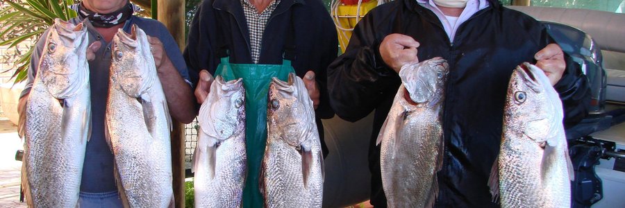 Vlnr is drie Birkenhead Boothengelklublede, Johan Burmeister (wedstrydsekretaris), Lulof Doyer (lid) en Philip Fourie (voorsitter) met 6 van die pragtige kabeljoue wat hulle naby Kleinbaai “in die diep” vanaf Johan se boot, Nu-Nu gevang het. In totaal het hulle 15 kabeljoue gevang met gewigte tussen 3kg en 7kg. Dan het hulle ook 6 mooi geelbekke, stokvis en makriel gevang. Jammer vir hierdie boothengelaars dat dit nie ‘n Birkenhead Boothengelkompetisie was nie - dan sou hulle beslis ‘n beduidende verskil aan hulle punte vir die einde van die jaar gemaak het!  